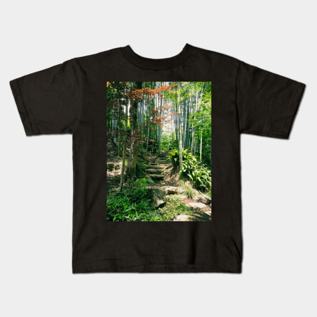 Steps in a Japanese Bamboo Forest Kids T-Shirt by kansaikate